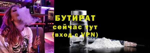 хмурый Пересвет