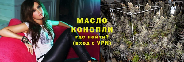 дмт Пестово