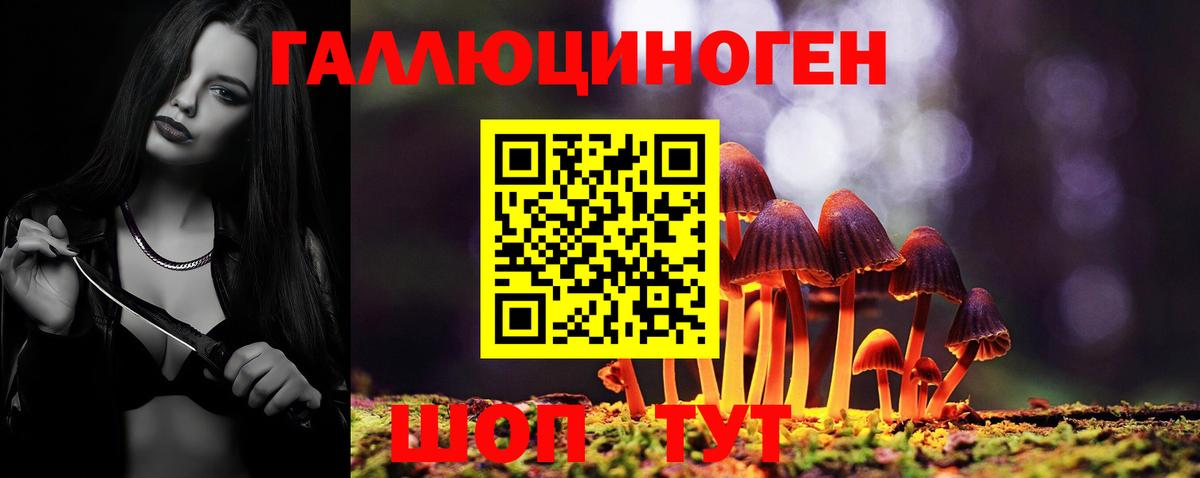 Псилоцибиновые грибы Psilocybine cubensis Улан-Удэ